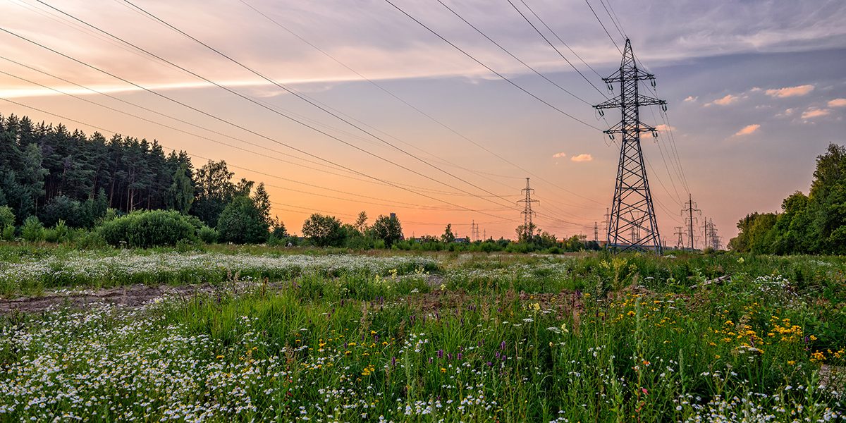 Power lines over a meadow