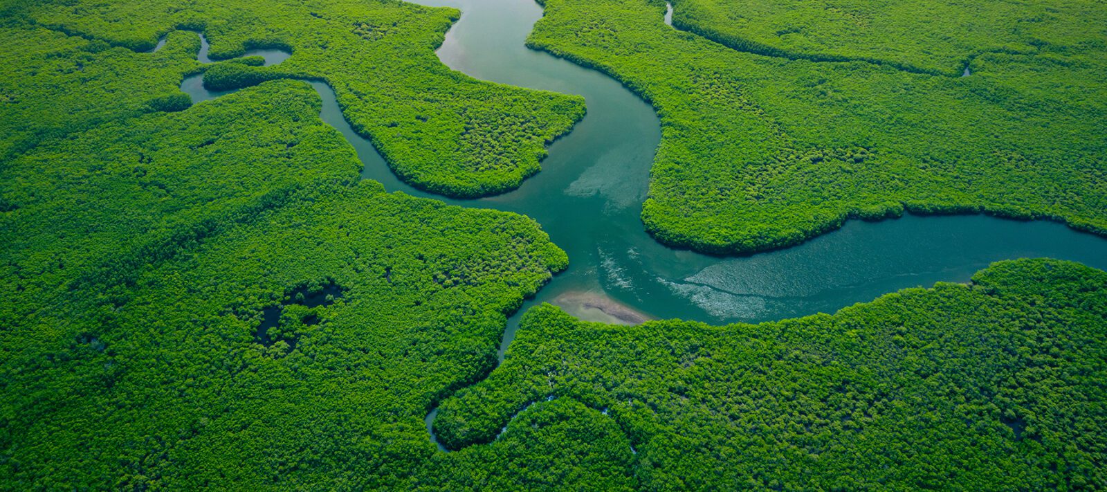 A Climate Consultant That Gets Results