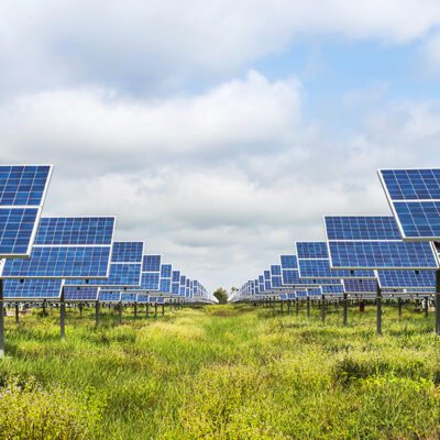 solar panels in a field