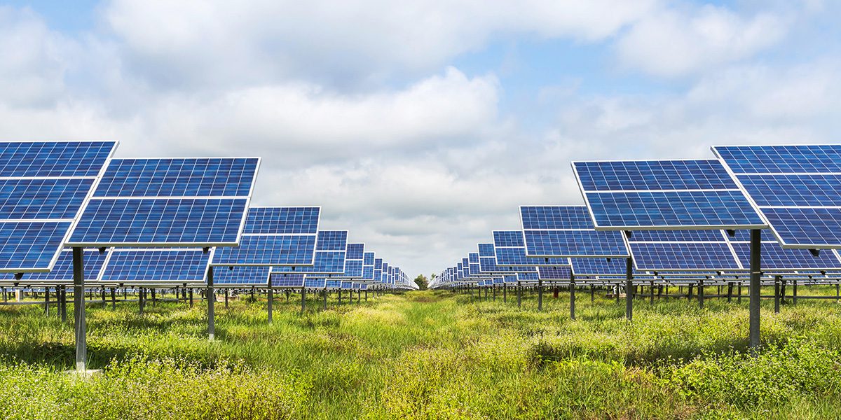 solar panels in a field