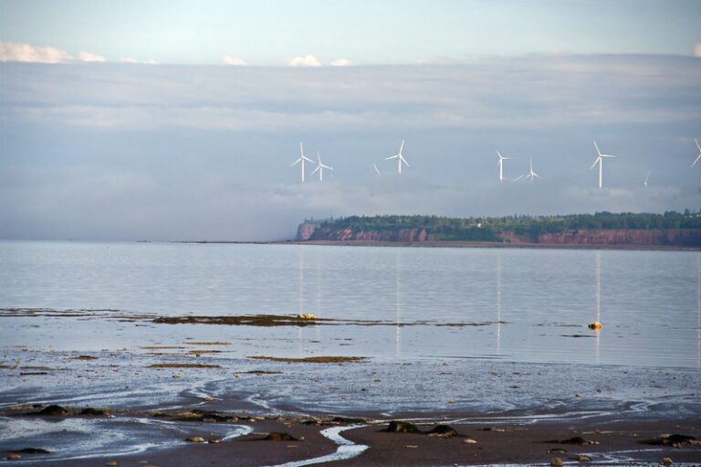 Bringing Clean & Affordable Electricity to the People of Nova Scotia Coho