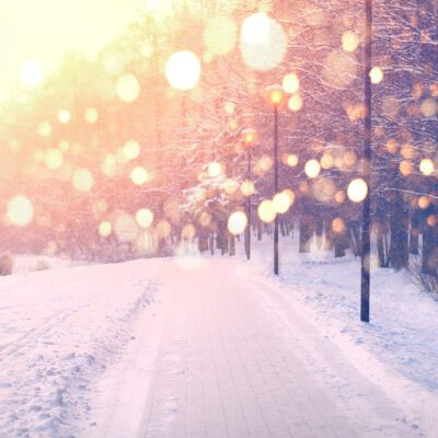 Path in the snow