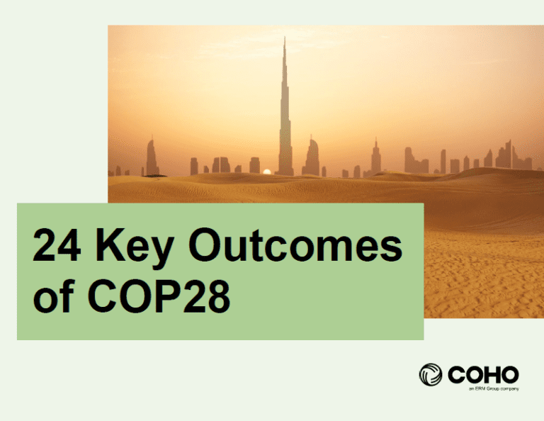 COP28 report cover